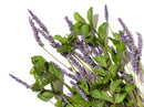 Support Lavender & Peppermint Bath & Shower Oil 9ml