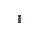 Support Lavender Pure Essential Oil 10ml PRO Only