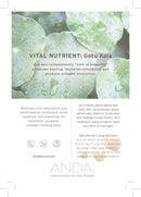 ANDA Folio card - ANDA Vital Eye Crème 25pk