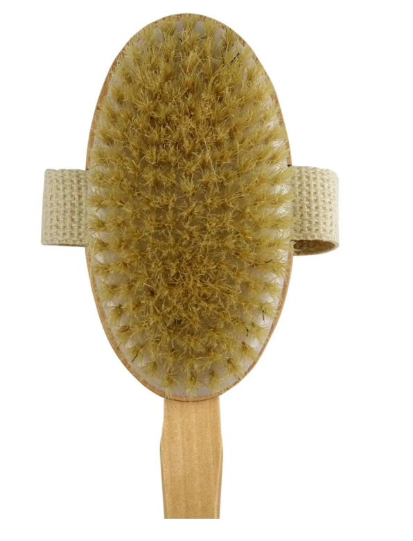 Dry Brush Natural Bristle