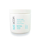 Facial Mask Pro 500 ml