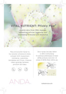 ANDA Folio Card Coherence Elixir 25pk