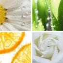 Consumer Brand Brochure 25pk