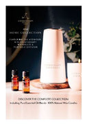 AA POS Card Insert - Home