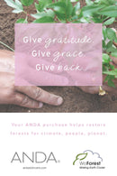 ANDA Coherence Elixir 50ml 2pk PRO