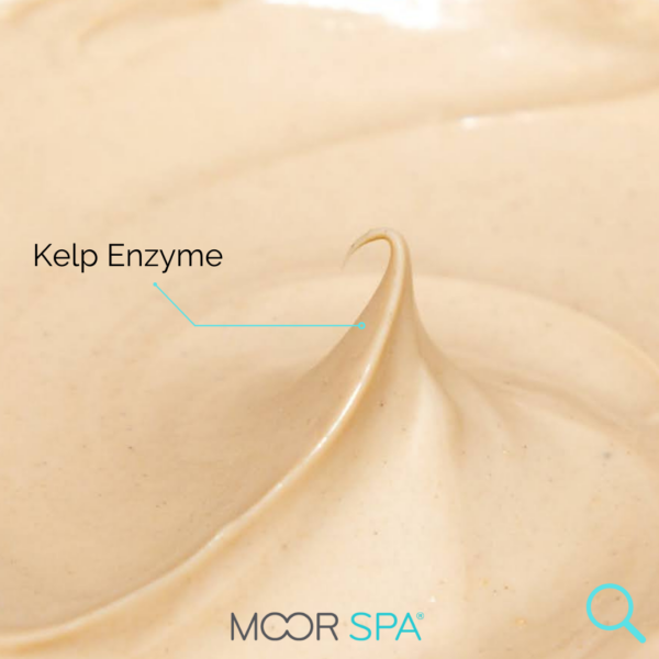 Kelp Enzyme Body Mask Retail 1 L